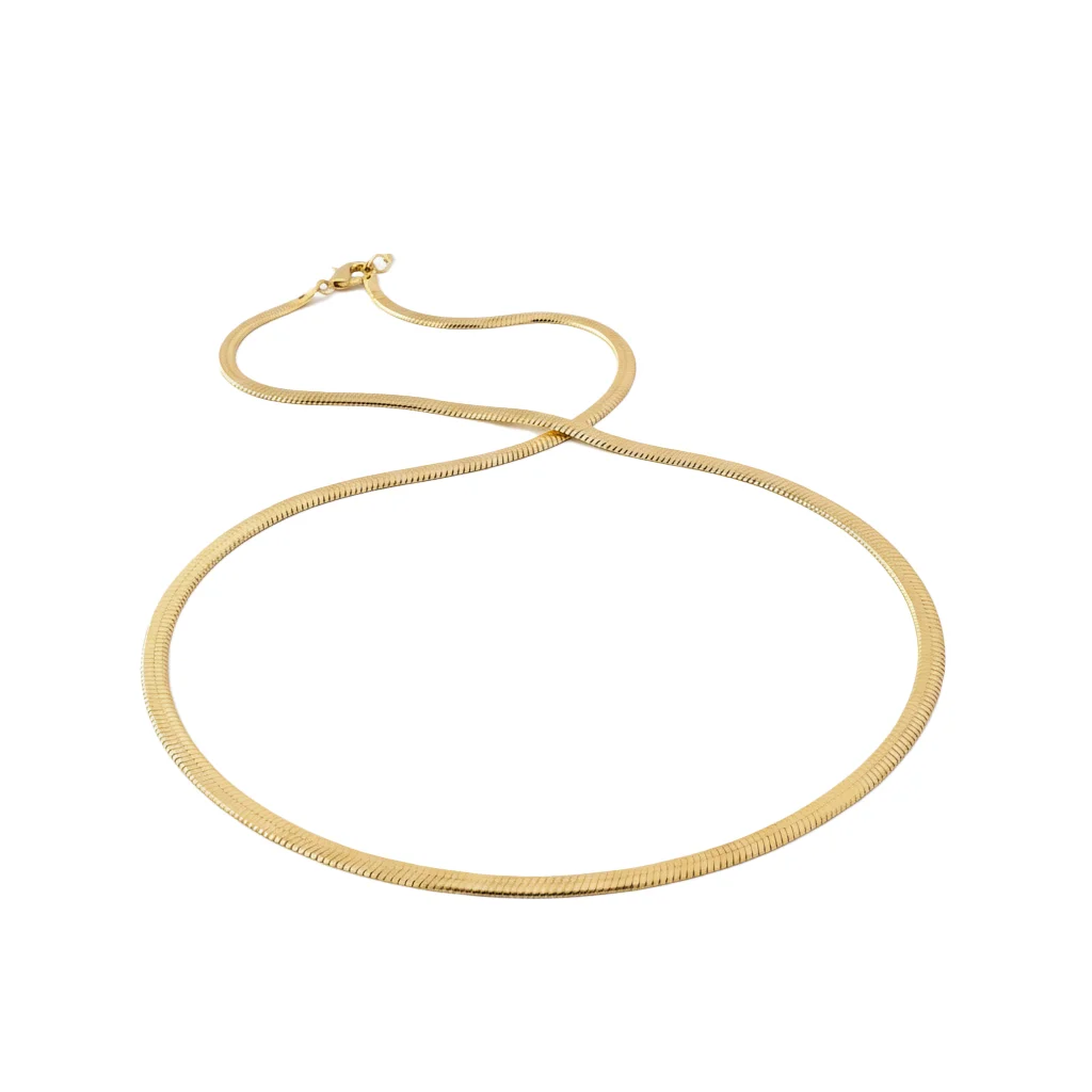 pomelli-image - 2026-03-05T001348.967 (1) سلسله ضهر حيه استانلس - جولد - الصورة 1